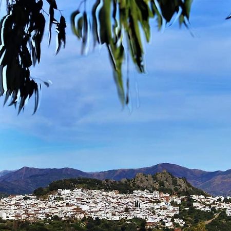 Casa Rural Sierras De Gaucin Διαμέρισμα Εξωτερικό φωτογραφία