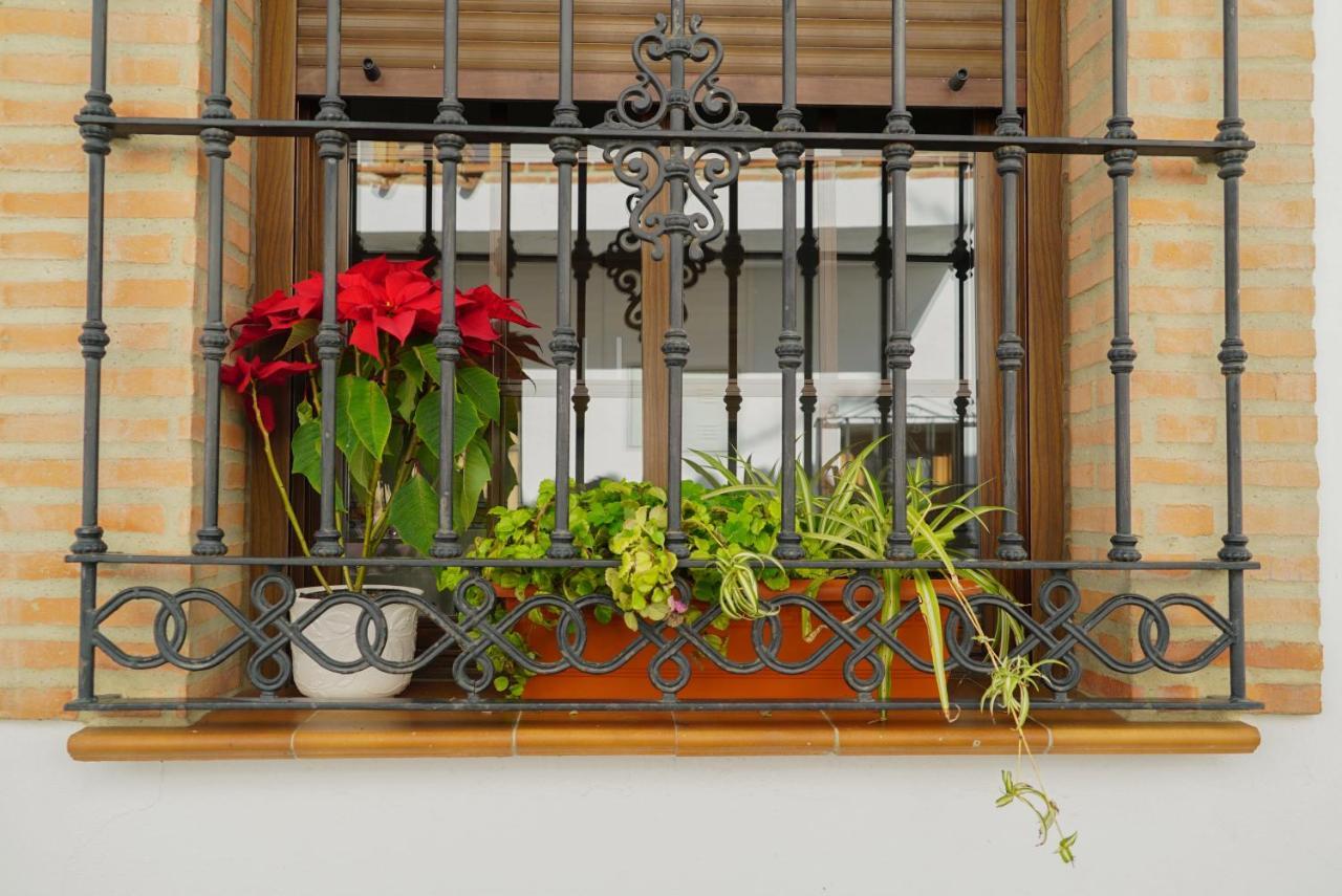 Casa Rural Sierras De Gaucin Διαμέρισμα Εξωτερικό φωτογραφία