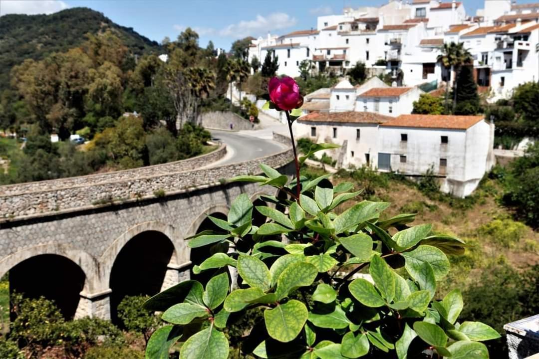 Casa Rural Sierras De Gaucin Διαμέρισμα Εξωτερικό φωτογραφία