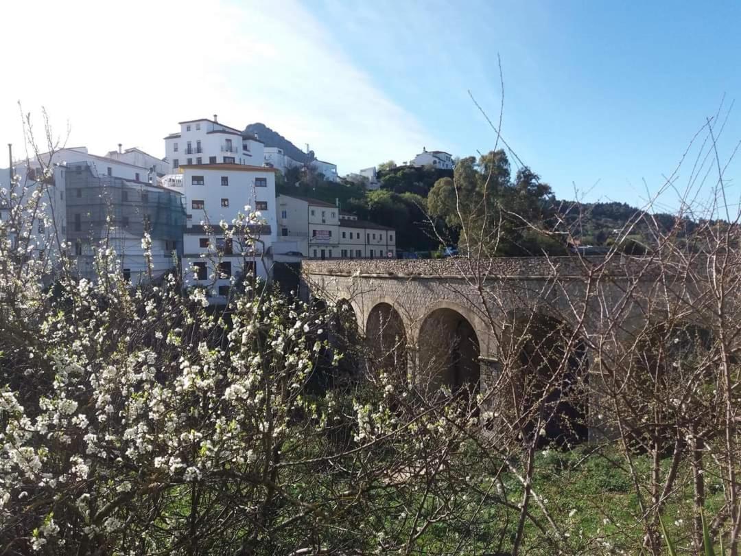 Casa Rural Sierras De Gaucin Διαμέρισμα Εξωτερικό φωτογραφία