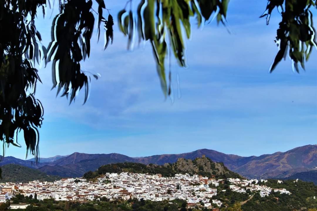 Casa Rural Sierras De Gaucin Διαμέρισμα Εξωτερικό φωτογραφία