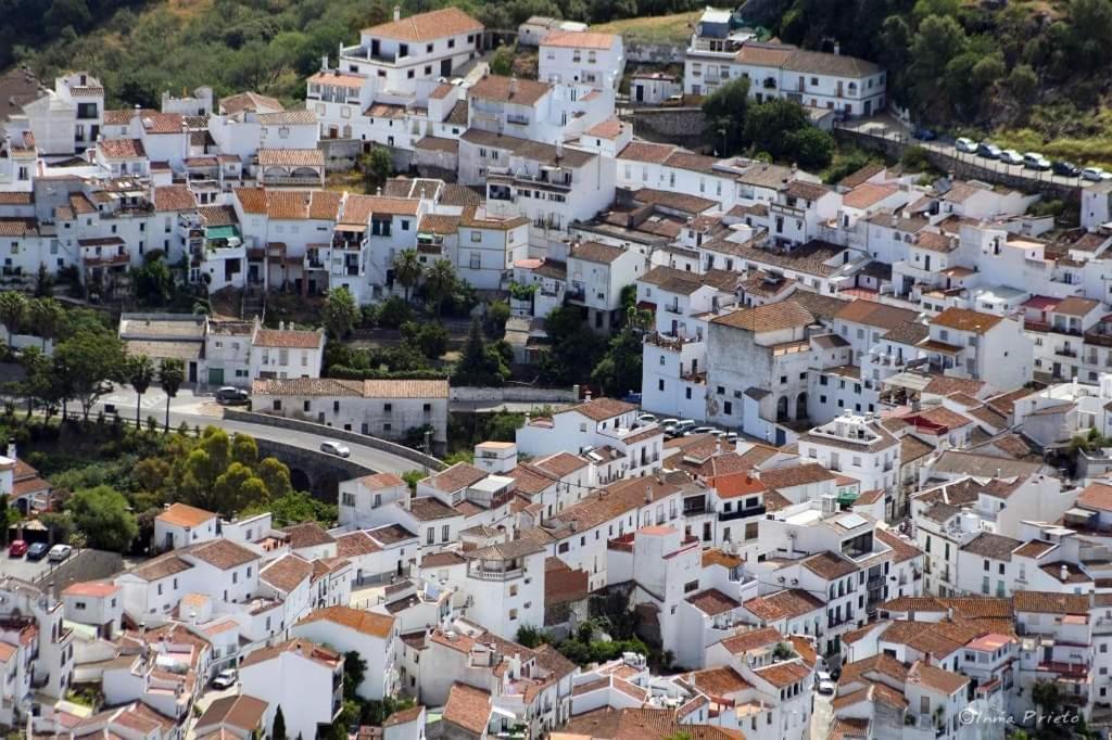 Casa Rural Sierras De Gaucin Διαμέρισμα Εξωτερικό φωτογραφία