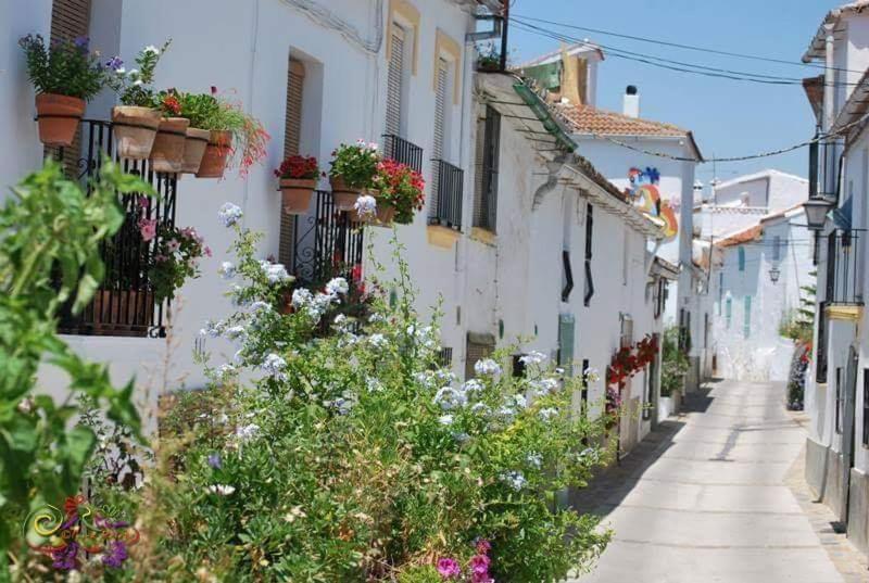 Casa Rural Sierras De Gaucin Διαμέρισμα Εξωτερικό φωτογραφία